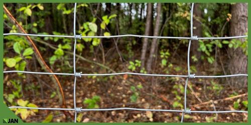 SIATKA LEŚNA 180cm ZAGĘSZCZONA 50m WIRE NET MODEL 180/24/15 L GRATIS GĘSTA na Arena.pl