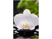 product-compare-58649795