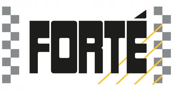 FORTE czyszczenie turbo zdjęcie 4