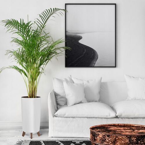 DONICA DONICZKA WYSOKA KWIETNIK STOJĄCY NA NÓŻKACH DO DOMU OGRODOWA BIAŁA na Arena.pl