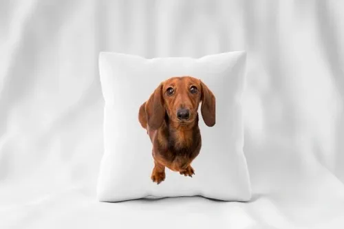 Zestaw PODUSZKA + KUBEK JAMNIK na Arena.pl