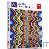 Audition 2024 - Licencja Wieczysta (LifeTime) - Windows - Licencja Biznes - BOX (ESD)