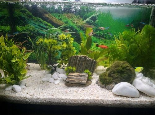 Żwirek Do Akwarium Malawi Biały Naturalny 1-4mm 8kg na Arena.pl