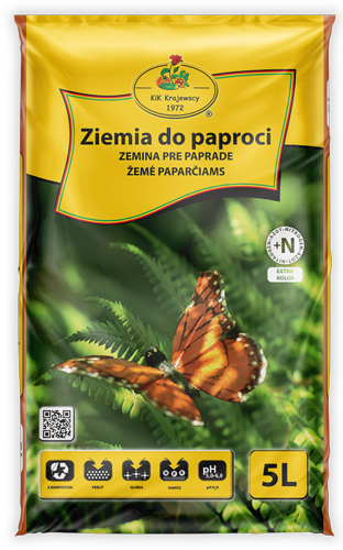 Ziemia Do Paproci na Arena.pl