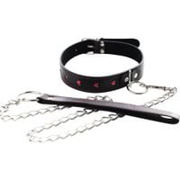 collar with detachable leash