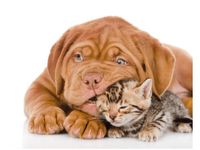 product-compare-58649343