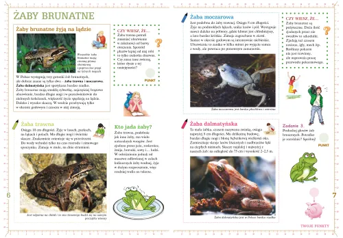 Płazy I Gady na Arena.pl