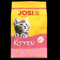 josera josicat kitten karma sucha dla kociąt 10kg