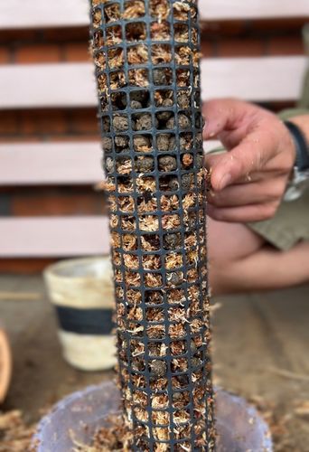 Palik z mchu 60cm sphagnum Podpora do roślin na Arena.pl