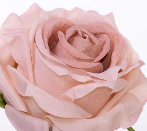 Róża wyrobowa cappucino 8cm na Arena.pl