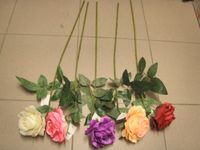 product-compare-64103890