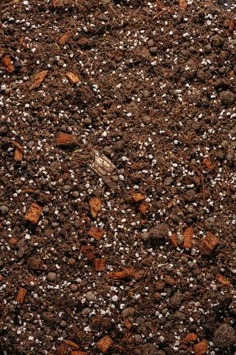 Ziemia do PALM, CYKASA, JUKI, DRACENY i FIKUSA 5L bigos, podłoże na Arena.pl