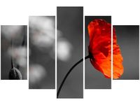 100CM 150CM OBRAZ 5 ELEM SAMOTNY MAK JENNY DOWNING ŚCIENNY