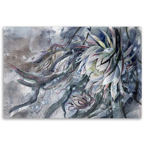 Obraz na płótnie, Kwiat królowej nocy 120x80 na Arena.pl