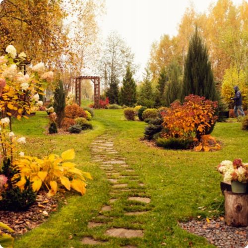 SIARCZAN AMONU 5kg NAWÓZ JESIENNY DO IGLAKÓW TUI WRZOSÓW WRZOŚCÓW na Arena.pl