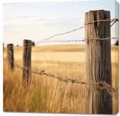 Obraz 100x100cm Płot na Polu