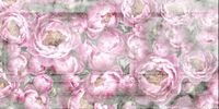 FOTOTAPETA Kwitnące Peonie Kwiaty Kwiatki 395x280