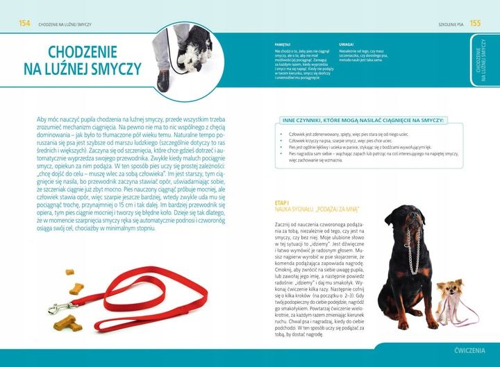 Szkolenie psa Jak tresować psa Poradnik książka + Kliker CLICKER Trening zdjęcie 7