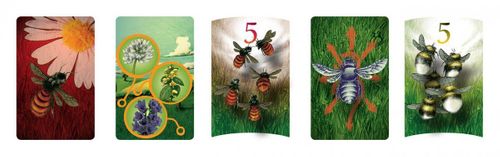 Gra Pszczoły na Arena.pl