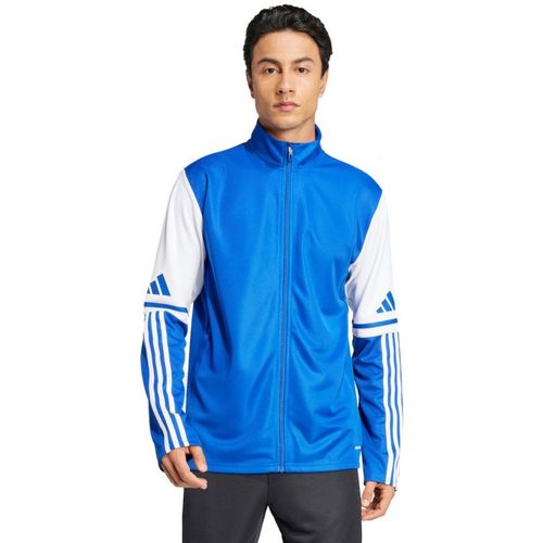Bluza adidas Squadra 25 Training M JD2980 S na Arena.pl