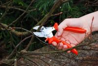 Sekator LOWE 5.107 - ergonomiczna rączka