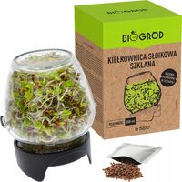 Kiełkownica w słoiku + nasiona na kielki SZYBKA UPRAWA słoikowa Twist-off