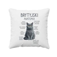 Brytyjski - anatomia - poduszka na prezent dla kociary