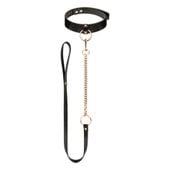 rosy gold   collar with leash   black