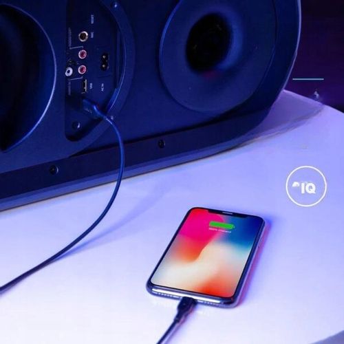 Głośnik przenośny Anker Rave+ czarny 160 W na Arena.pl