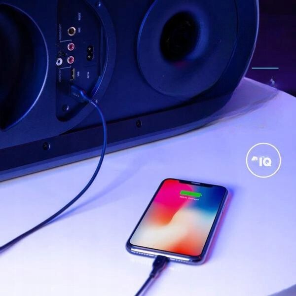 Głośnik przenośny Anker Rave+ czarny 160 W zdjęcie 6