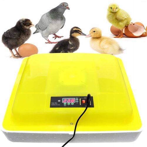 AUTOMATYCZNY INKUBATOR DO JAJ WYLĘGARKA 88 JAJ 80W na Arena.pl