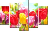 product-compare-58695989