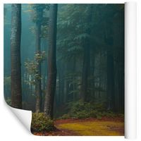 Fototapeta Mroczny Las Rośliny NATURA do Salonu 450x300