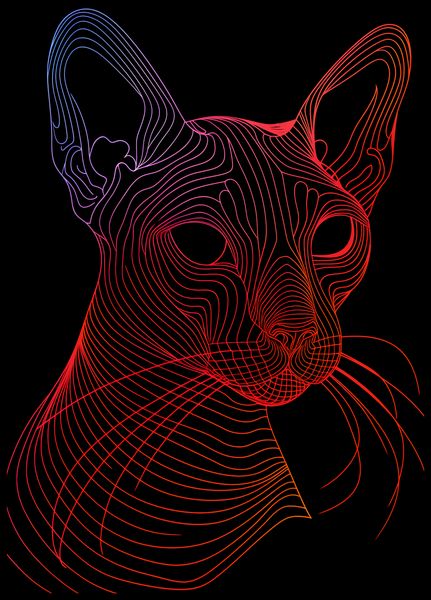 Plakat 64x90cm Cyfrowa Kocica zdjęcie 2