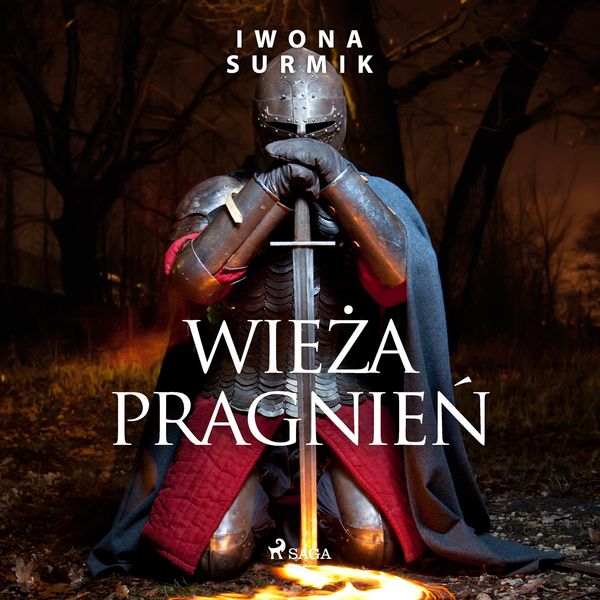 (mp3) Wieża pragnień zdjęcie 1