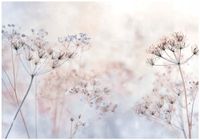 Fototapeta Na Flizelinie Do Sypialni Salonu Kwiaty 400x280