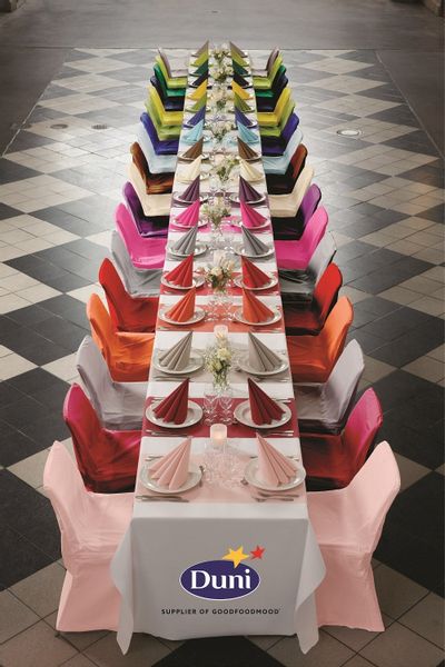 SERWETKI JOY DUNISOFT BORDOWE 40X40 A60 zdjęcie 4