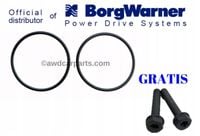 BorgWarner Oringi do pomp Haldex 5 i 6 generacji + Śruby pompy 5 gen GRATIS