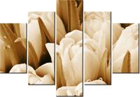 105CM 150CM OBRAZ 5 ELEM ŚWIEŻE TULIPANY DRUK