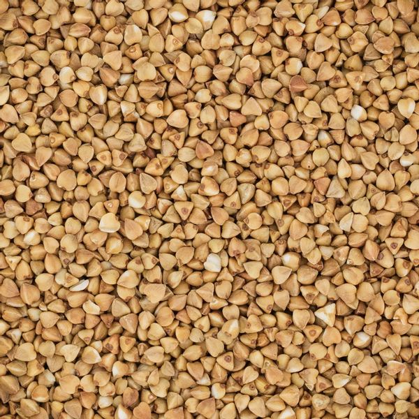 WYSOKIEJ JAKOŚCI Kasza Gryczana PALONA 1kg ŹRÓDŁO BIAŁKA zdjęcie 3