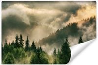 Fototapeta Do Salonu PEJZAŻ Las We Mgle Natura Efekt 3D 360cm x 240cm