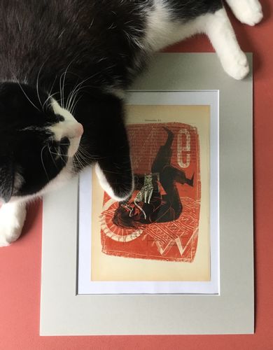 Miau plakat 19,1 x 26,6 cm na Arena.pl