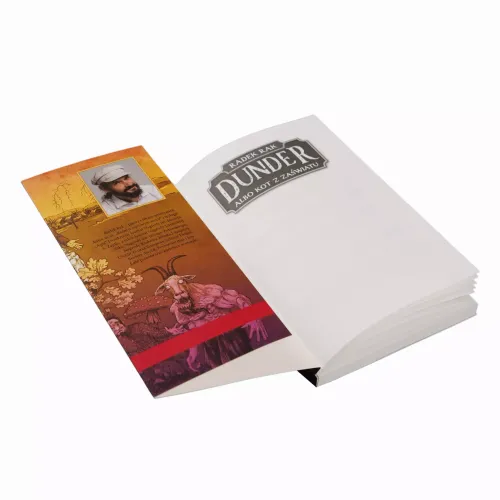 Dunder albo kot z zaświatu. Gra książkowa na Arena.pl