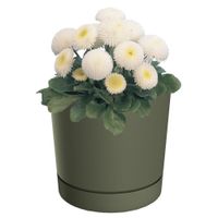 Doniczka z podstawką okrągła Ø12,8 cm matowa kolor zielony