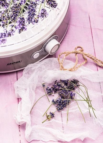 Suszarka do grzybów warzyw owoców 5-sit MPM MSG-11 zdjęcie 16