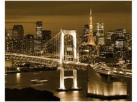 40X50CM RAINBOW BRIDGE TOKIO OBRAZ