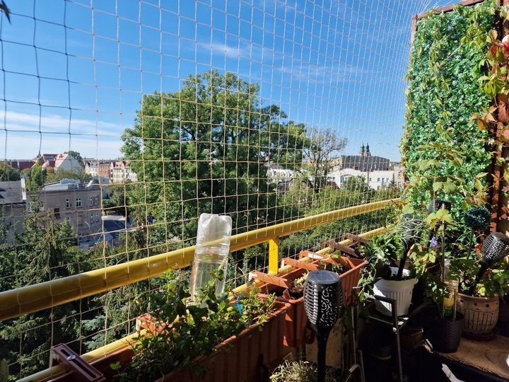 ZESTAW SIATKA NA BALKON 6x3m NA GOŁĘBIE PRZECIW PTAKOM MONTAŻ BEZ WIERCENIA zdjęcie 6