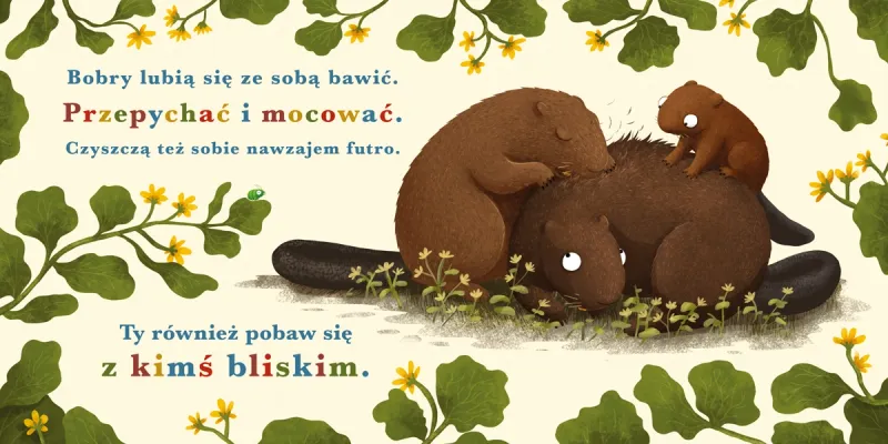 Rok W Lesie. Bóbr zdjęcie 3