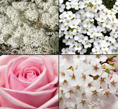 Tesori D`oriente Muschio Bianco 150Ml Dezodorant na Arena.pl