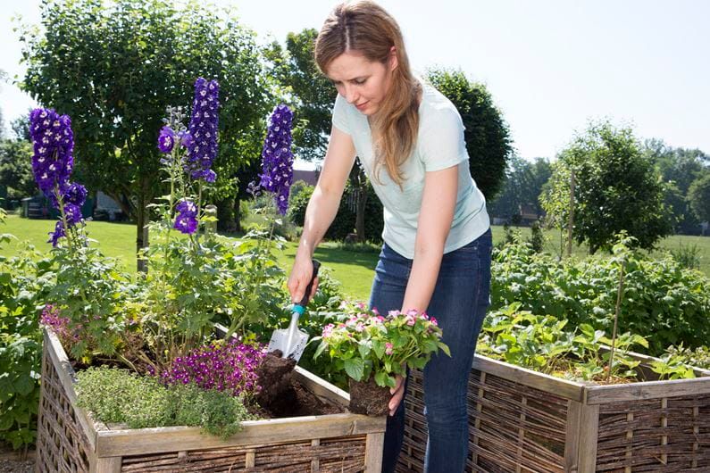 ŁOPATKA - HG-08960-20 zdjęcie 4